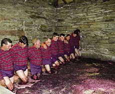 disgusting foot treading © Grahams